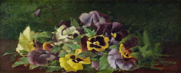 Pensées (huile sur toile)