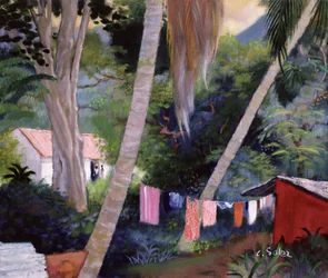 Séchage du linge, Guadeloupe
