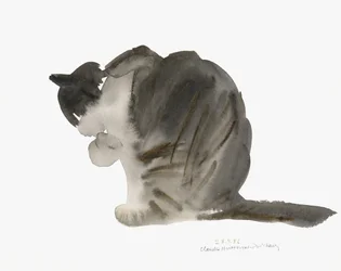 Chat, 1985
