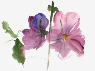 Rose trémière, 1988
