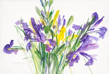 Iris, 1999