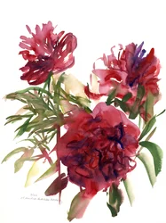 Pivoines, 2002