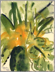 Primevères, 2005