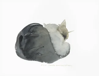 Chat endormi, 1985