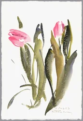 Tulipes, 2003