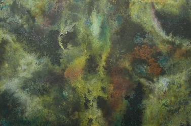 Textures organiques et terreuses