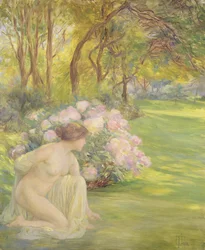 Flore