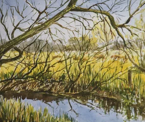 Water Meadows, Kintbury, début de l