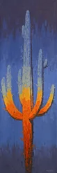 Lueur du désert de Saguaro