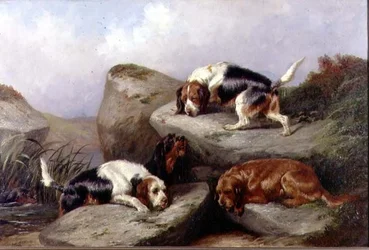 Chiens de loutre, 1889