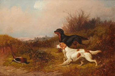 Retrievers au travail