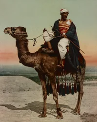 Un bédouin, Le Caire, Égypte