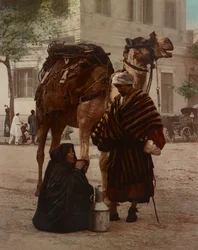 Un bédouin et sa femme au marché
