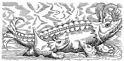 Baleine allaitante et cochon de mer