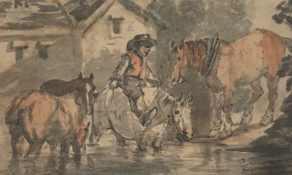 Homme arrosant quatre chevaux