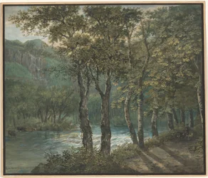 Lumière du soleil filtrant à travers les arbres le long de la rivière Sihl