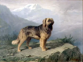 Un Mastiff dans un paysage alpin