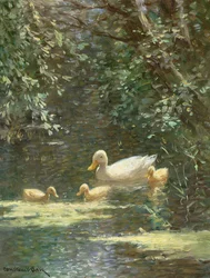 Mère canard avec canetons dans l