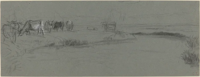 Rive avec du bétail
