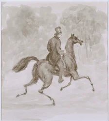 Homme sur un cheval au trot