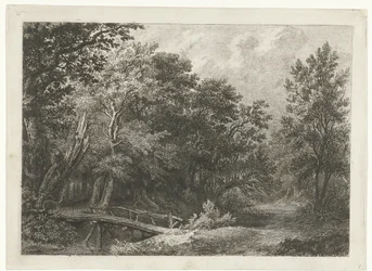 Vue de forêt avec un pont en bois