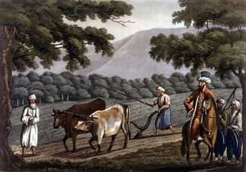 Agriculture en Syrie, gravée par Joseph Constantine Stadler (fl.1780-1812) publiée par J. White