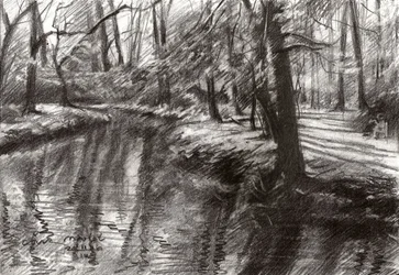 Reflets sur un ruisseau en forêt