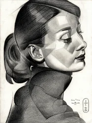 Profil géométrique d