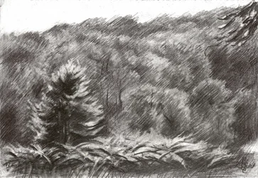 Dessin d