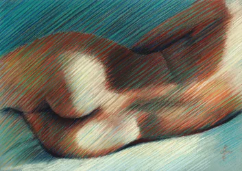 Les courbes sensuelles du corps