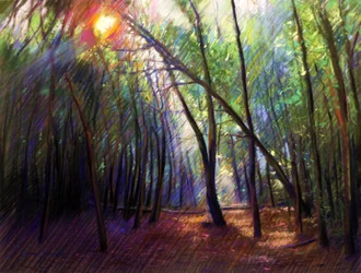 La lumière du soleil à travers les arbres