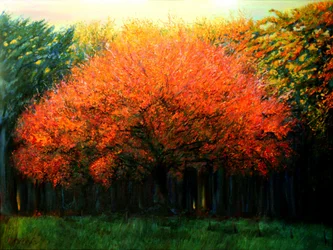 Un arbre aux couleurs chatoyantes de l