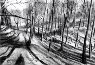 Sentier forestier en hiver