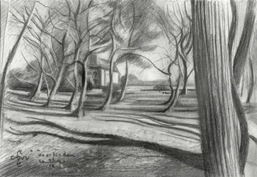 Ombres de forêt hivernale