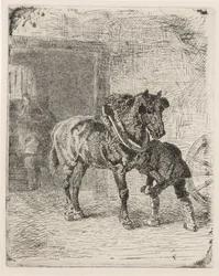 Cheval ferré dans une forge