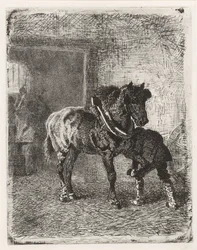 Cheval ferré dans une forge