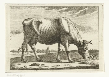 Paysage avec vache paissant (Vaches)