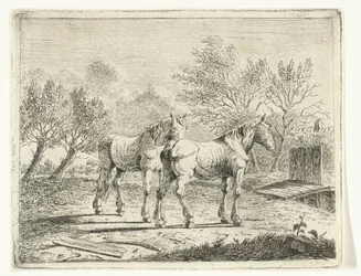 Paysage de prairie avec deux chevaux près d