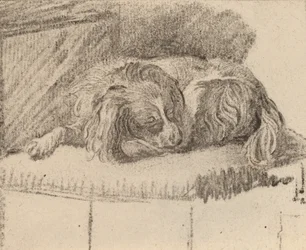 Chien couché