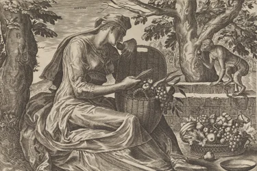Le goût, des Cinq Sens, 1561