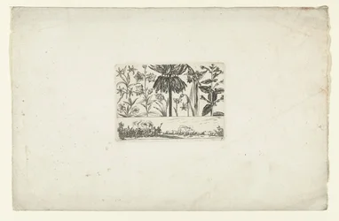 Rangée de fleurs au-dessus d