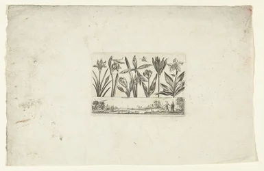 Rangée de fleurs au-dessus d