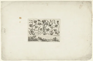 Rangée de fleurs au-dessus d