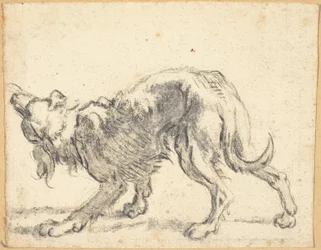 Un chien