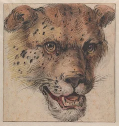 La tête d