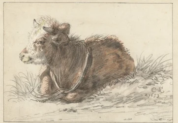 Veau couché, vers la gauche