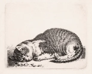 Chat dormant, vers 1607-81