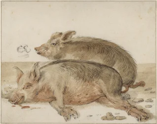 Deux cochons