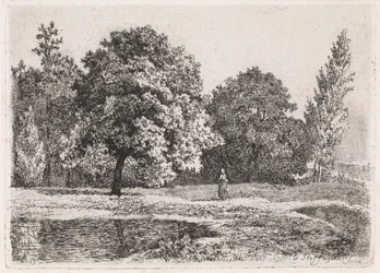 Paysage avec arbres, lac et femme (Cinquième suite)