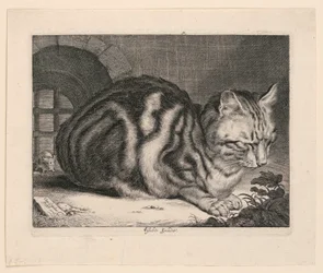 Le grand chat